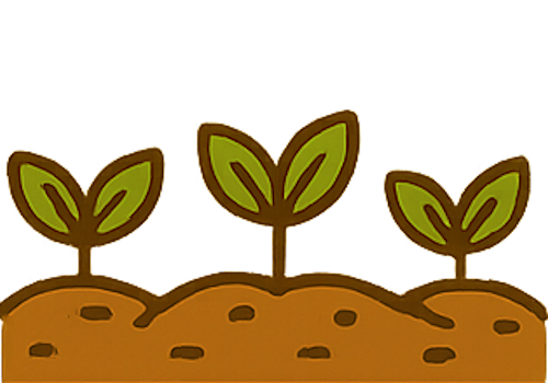 Food Plots For Deer Hunting In Oklahoma
